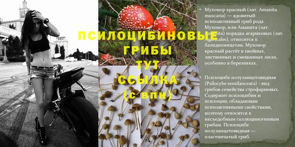 марки lsd Алексеевка